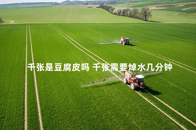 千张是豆腐皮吗 千张需要焯水几分钟